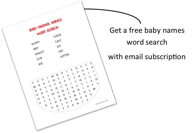 hey, baby! baby animal names word search with email subscription