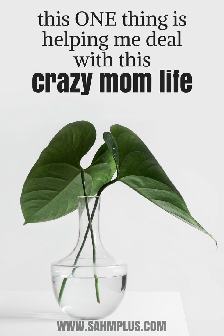 Crazy mom life! What's helping me overcome the overwhelm, clutter, and stress of the demands on my time as a work at home (modern day stay at home) mom? | www.sahmplus.com