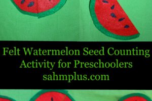 felt watermelon seed counting activity for preschoolers