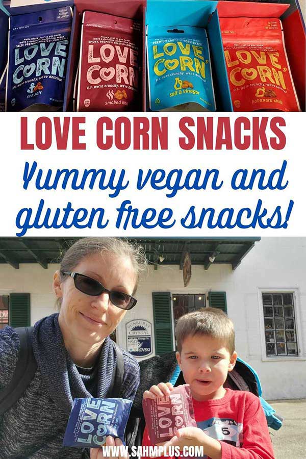 delicious vegan, gluten free quick snacks for on-the-go, at your desk, and for the family