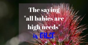 The saying "all babies are high needs" really irritates me. There IS a difference