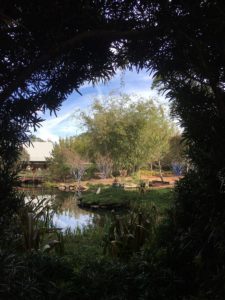 Looking at a garden through a hole