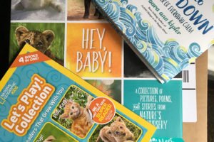 National Geographic Kids #MomsMeet program for Hey, Baby! an adorable and informative book about baby animals | www.sahmplus.com