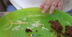 Picky toddler pushing plate of food away | www.sahmplus.com