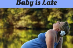 How to irritate a woman when her pregnancy due date has passed. Do you know what not to say (or do) when a pregnant woman's baby is late? www.sahmplus.com