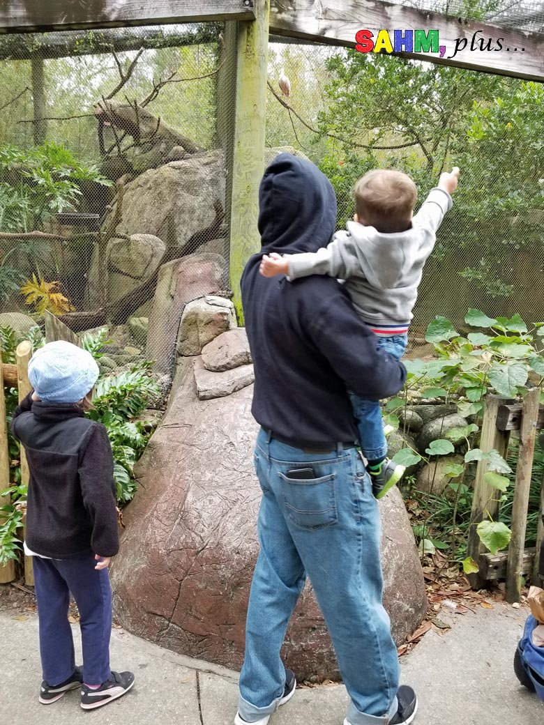 At the zoo - reward ideas for good behavior