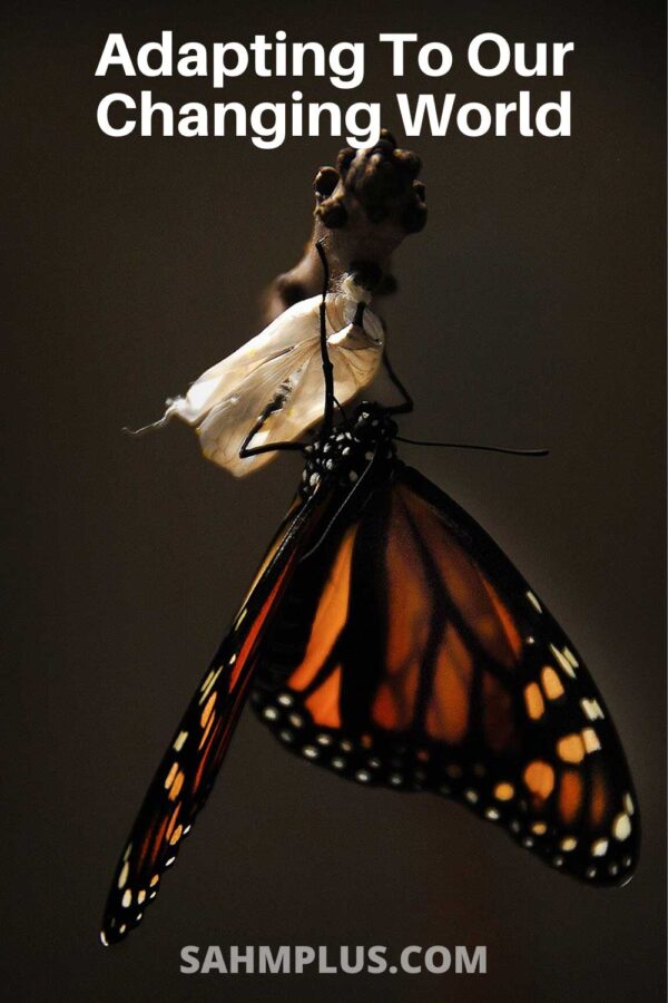 Roll with the punches. Life is challenging ... Can we adapt to change in the world?