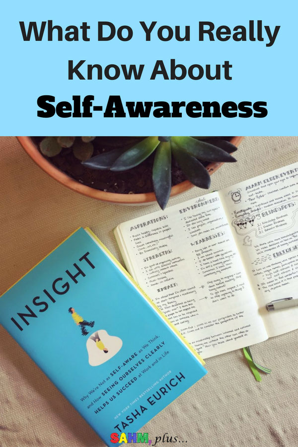 Do you actually know about self-awareness? Things are the things you need to know about self-awareness. And, you think you may, but reading the book "Insight" may prove otherwise. The importance of and exploring self-awareness through this honest book review by Cristen at www.sahmplus.com