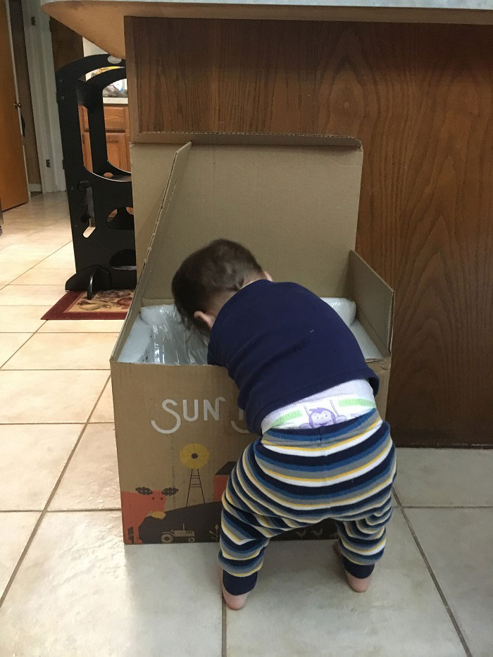 Toddler can't wait to open Sun Basket meals